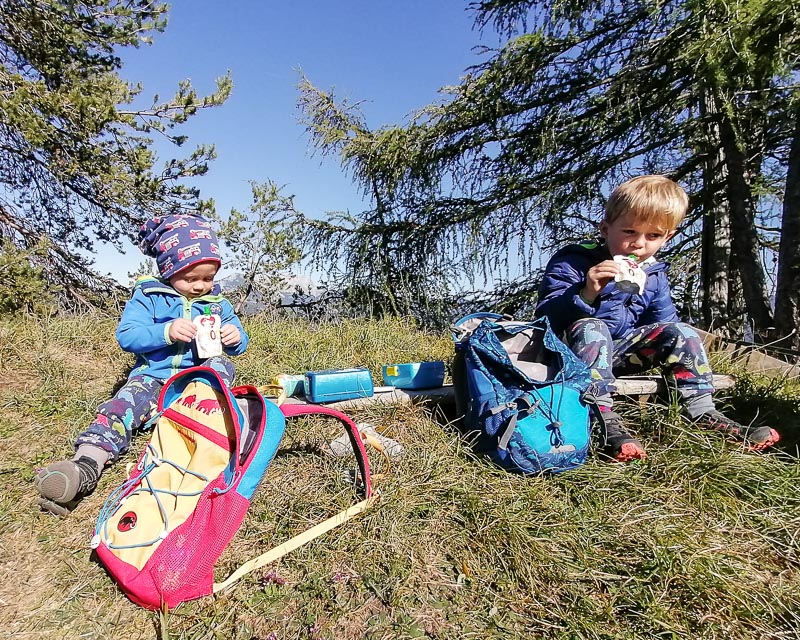 Geführte Wanderung für die ganze Familie in der Steiermark_Alpinschule Bergpuls2