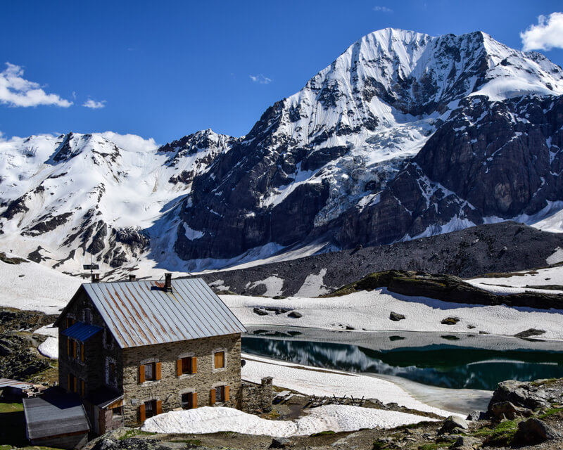 ortler-hintergrat-mit-bergfuehrer-von-alpinschule-bergpuls-1