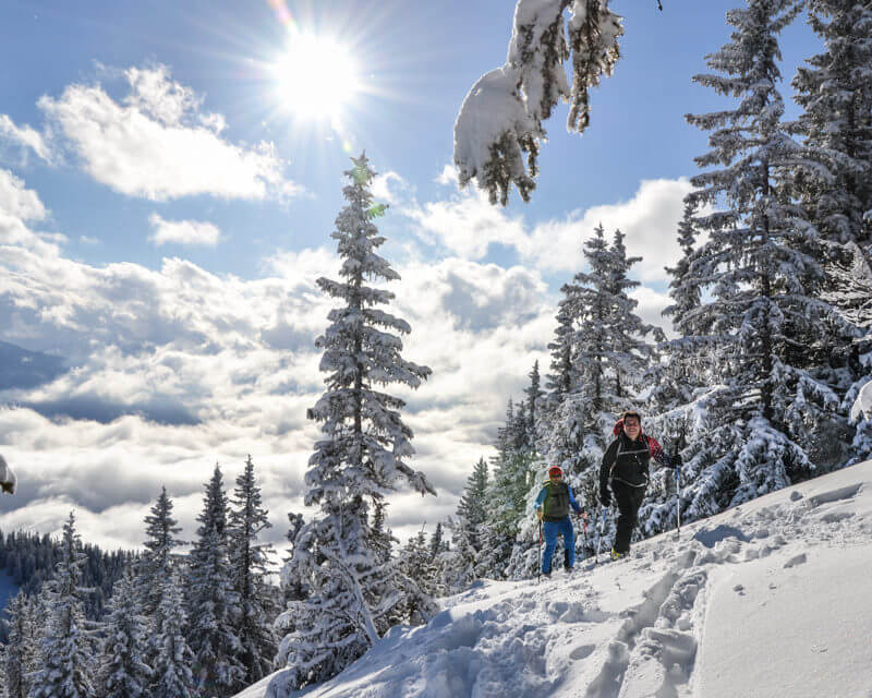 schneeschuhwandern-im-gesaeuse-bei-alpinschule-bergpuls-2