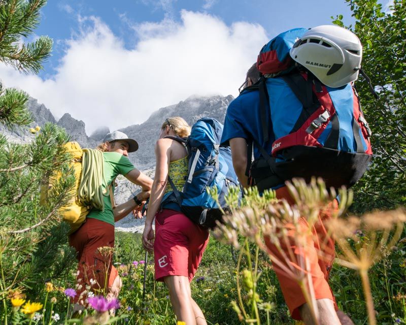 Klettern Bergführer Gesäuse Alpinschule Bergpuls