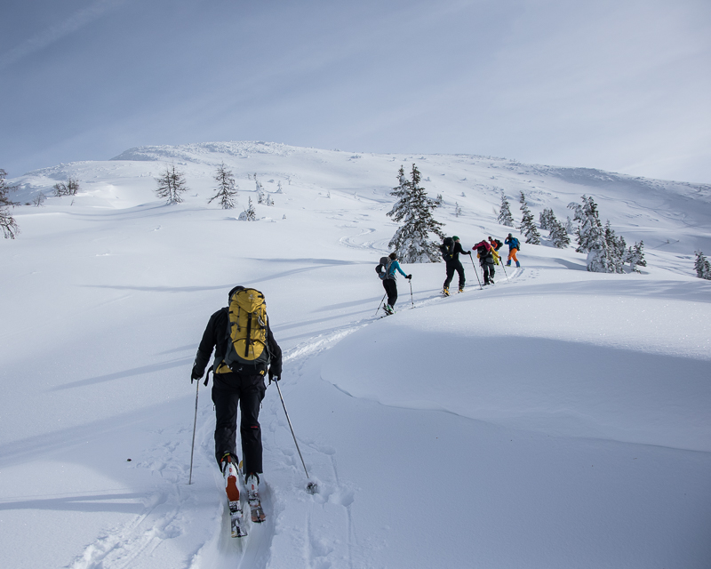 Lawinenseminar für Fortgeschrittene_Steiermark_Alpinschule Bergpuls2