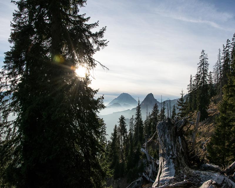 Geführte Wanderung im Toten Gebirge Steiermark_Alpinschule Bergpuls1