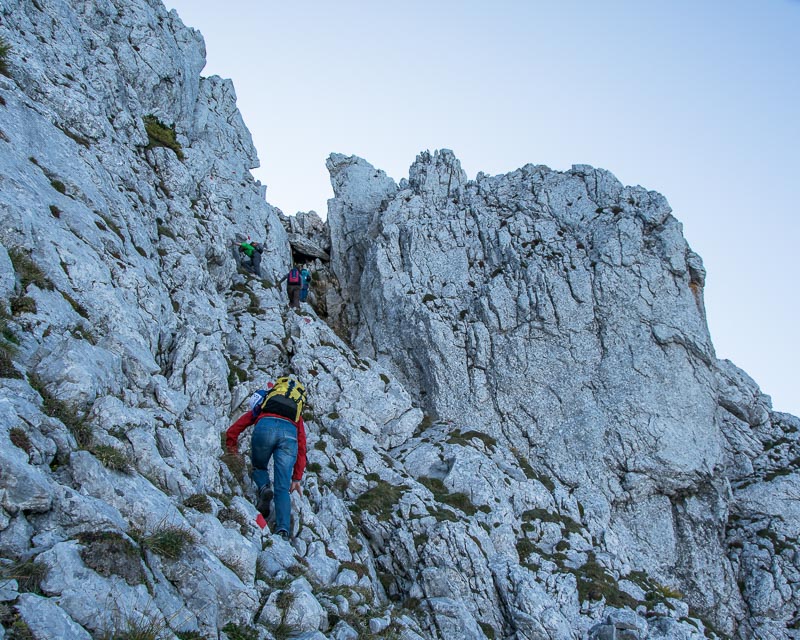 Kirchengrat, Gorßer Ödstein mit Bergführer_Alpinschule_Bergpuls_Gesäuse3