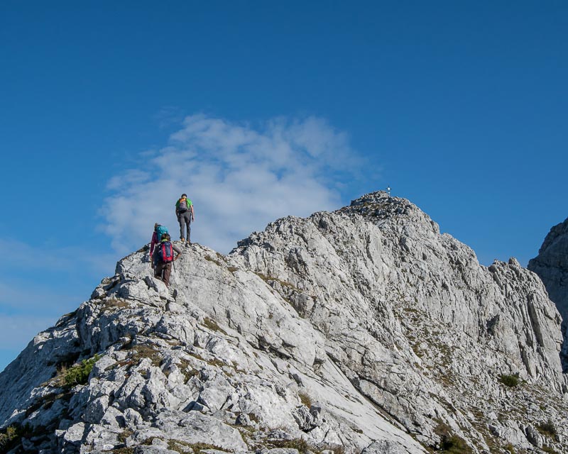 Kirchengrat, Gorßer Ödstein mit Bergführer_Alpinschule_Bergpuls_Gesäuse5