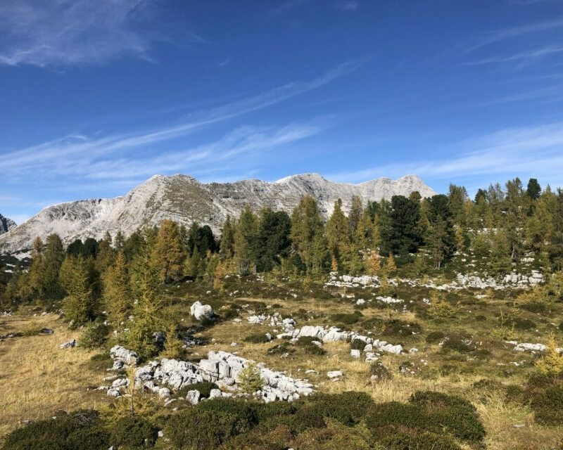 Bergwanderführer Christian Wirth, Wandern Totes Gebirge, Geführte Wanderung_Alpinschule BERGPULS_0